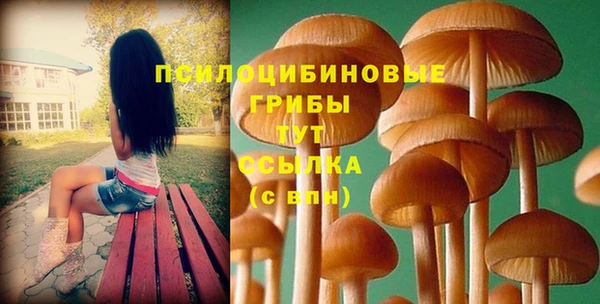 мяу мяу мука Зерноград