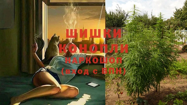 мяу мяу мука Зерноград